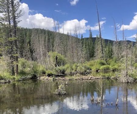 Beaver Ponds Picnic Area