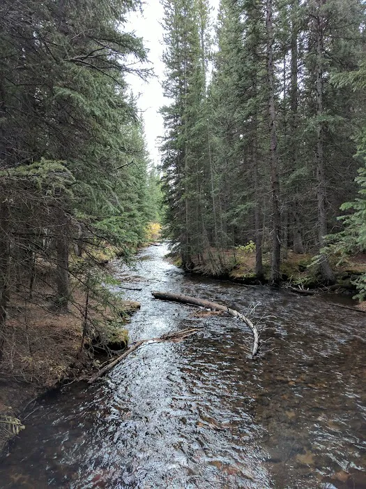 Beaver Ponds Picnic Area Picture 3