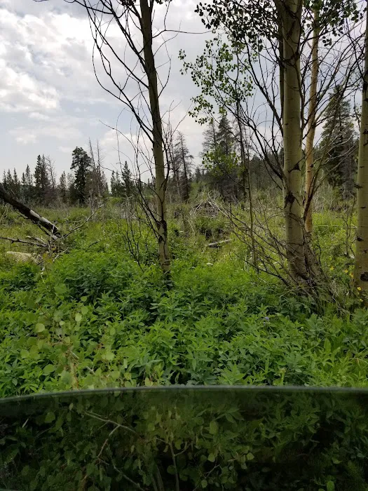 Beaver Ponds Picnic Area Picture 4