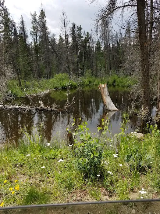 Beaver Ponds Picnic Area Picture 8