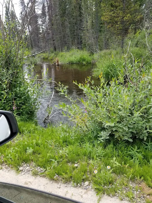 Beaver Ponds Picnic Area Picture 6