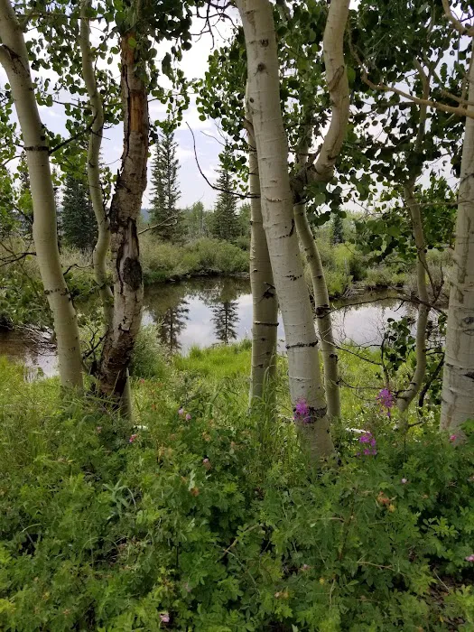 Beaver Ponds Picnic Area Picture 5