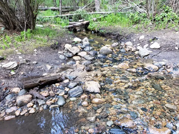 Beaver Ponds Picnic Area Picture 9