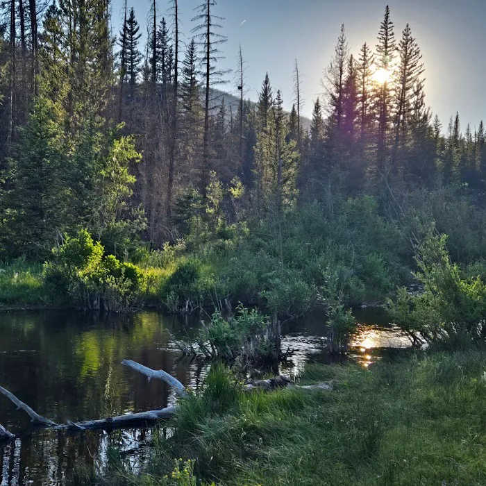 Jefferson Creek Campground Picture 3
