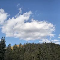 Jefferson Creek Campground ico