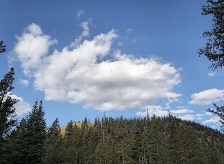 Jefferson Creek Campground