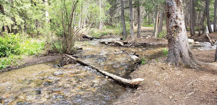 Jefferson Creek Campground Picture 7