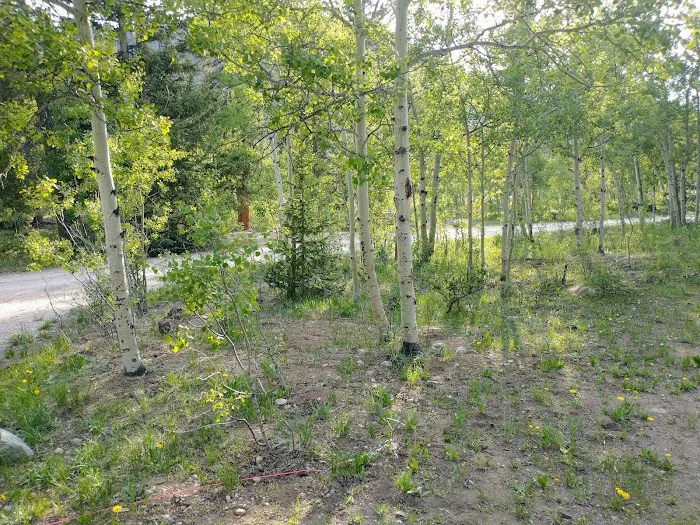 Aspen Campground Picture 6