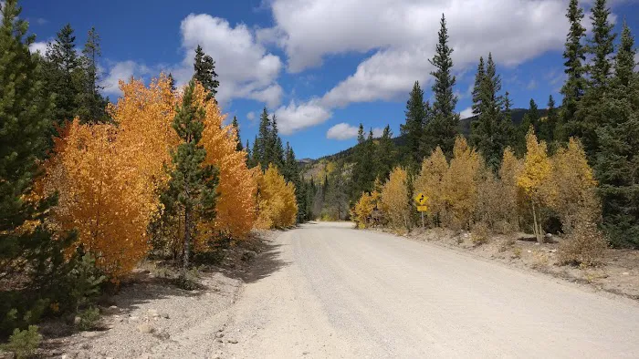 Lodgepole Campground Picture 2