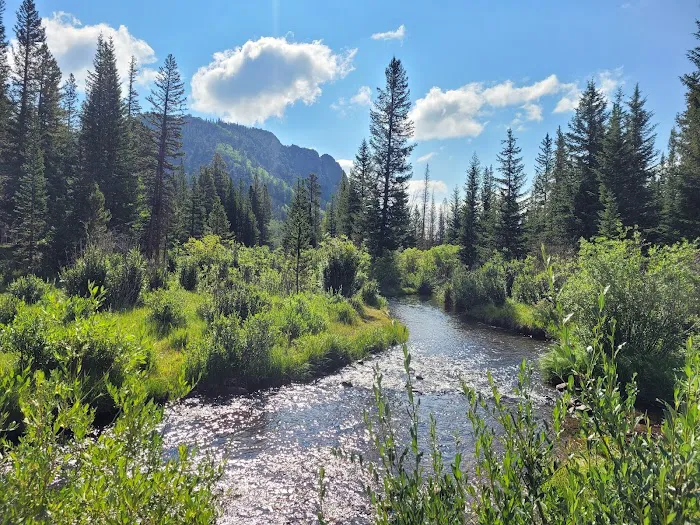 Lodgepole Campground Picture 4