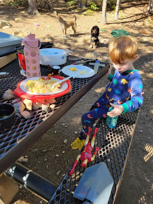 Lodgepole Campground Picture 9