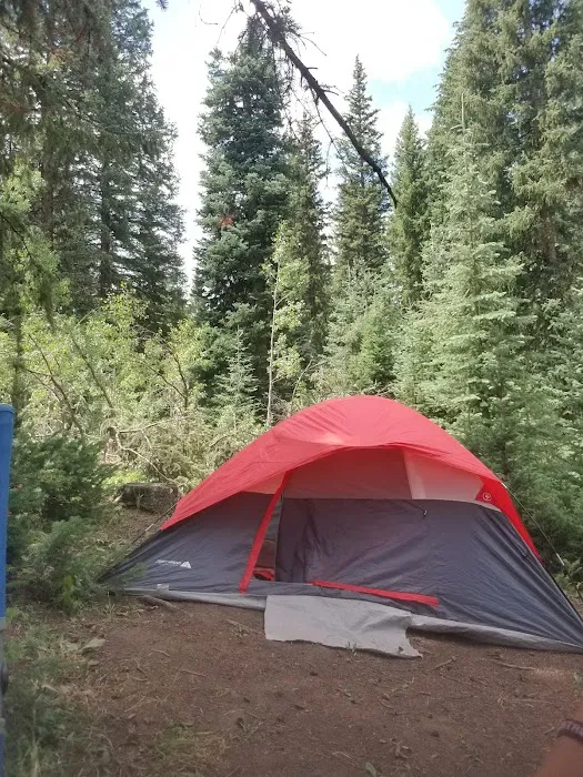 Idlewild Campground Picture 6