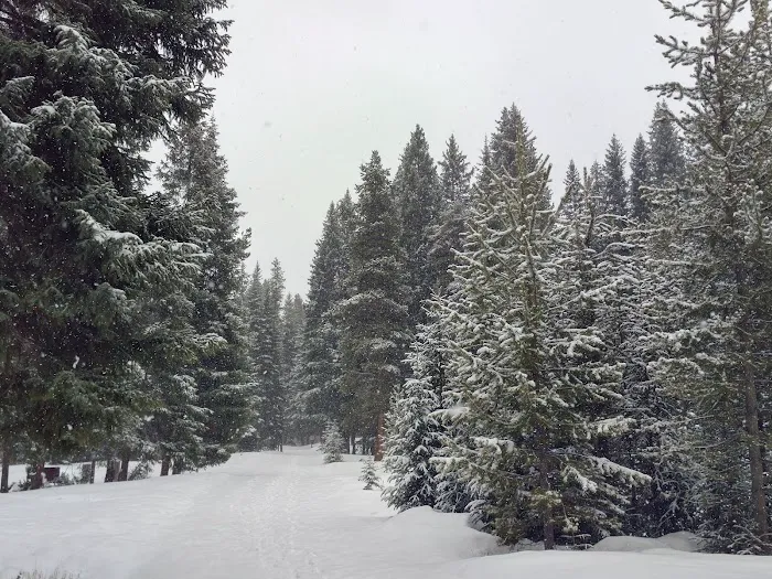 Idlewild Campground Picture 8