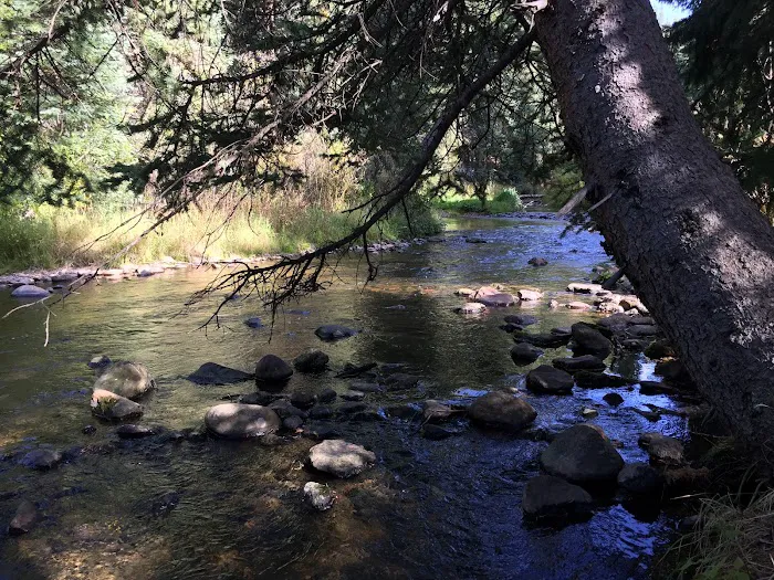 Idlewild Campground Picture 7
