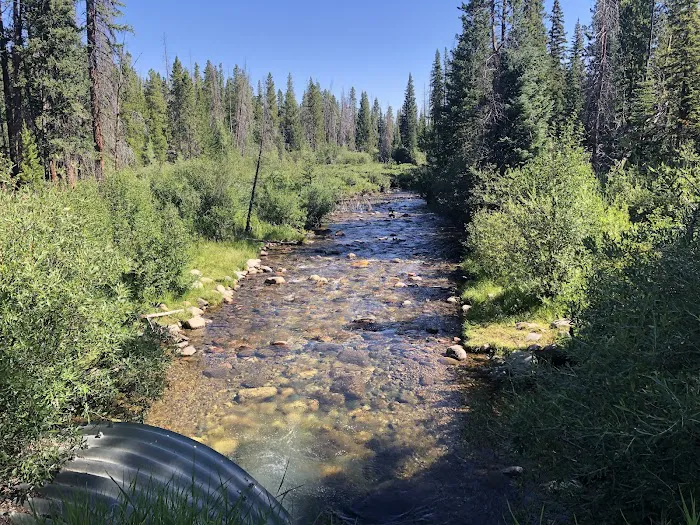 St. Louis Creek Campground Picture 4