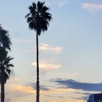 Melrose Trailer Park ico