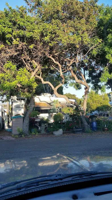 Melrose Trailer Park Picture 2