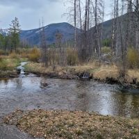 Sugarloaf Campground ico