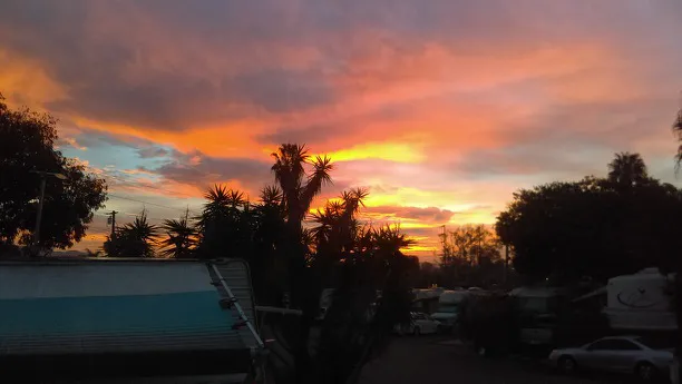 Olive Avenue RV Resort Picture 6