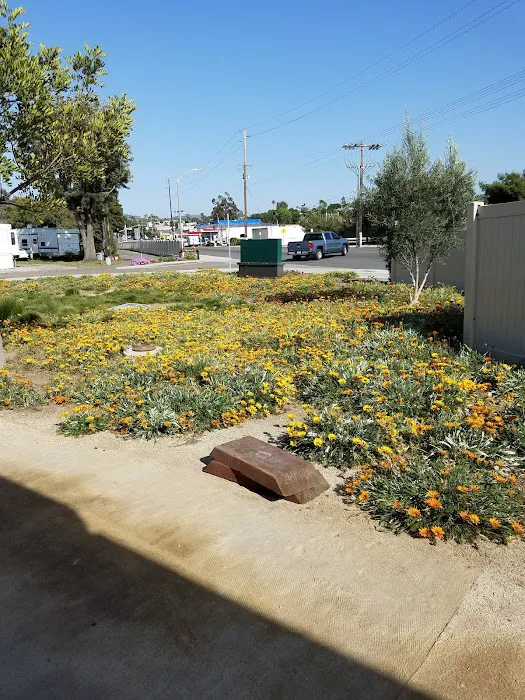 Olive Avenue RV Resort Picture 4