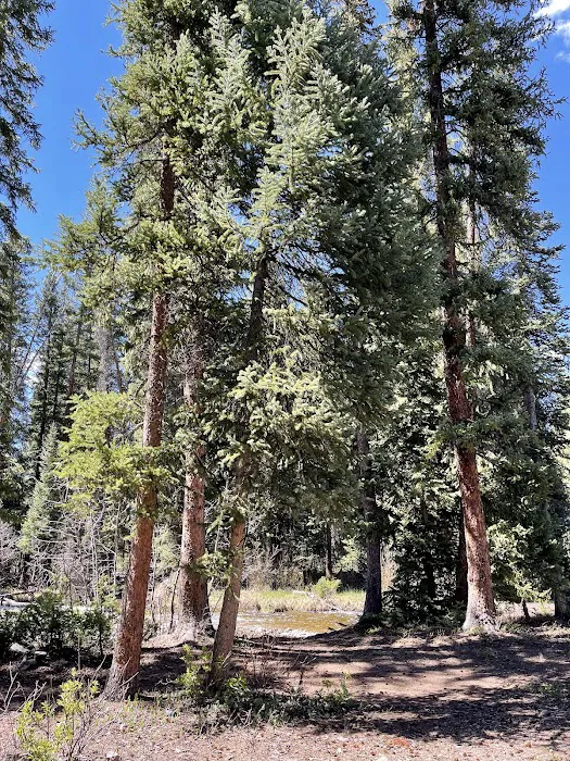 South Fork Campground Picture 5