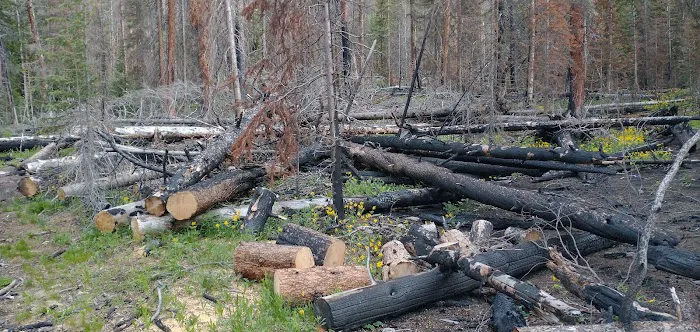 South Fork Campground Picture 6