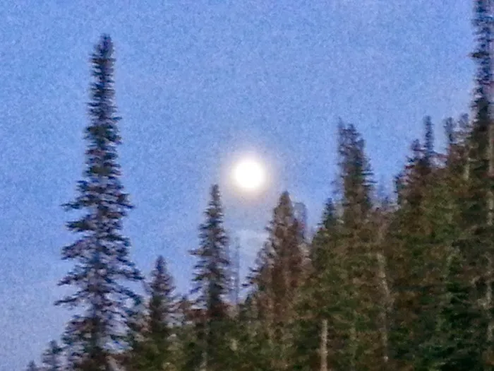 South Fork Campground Picture 7