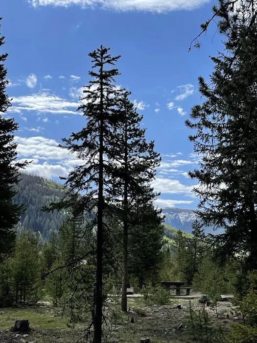 South Fork Campground Picture 9