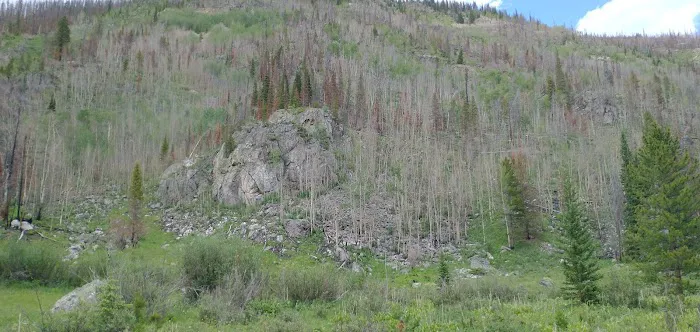 South Fork Campground Picture 10