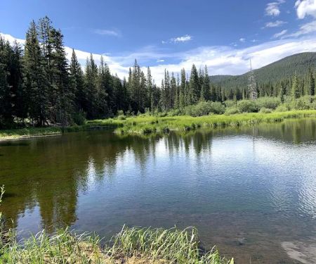 Michigan Creek Campground