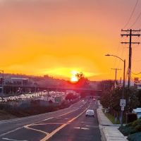 Twin Oaks Valley Park ico