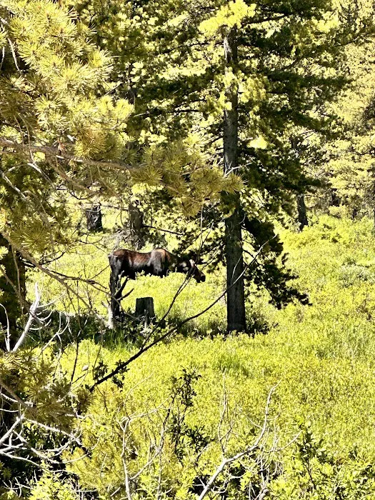 Meadow Creek Campground Picture 8
