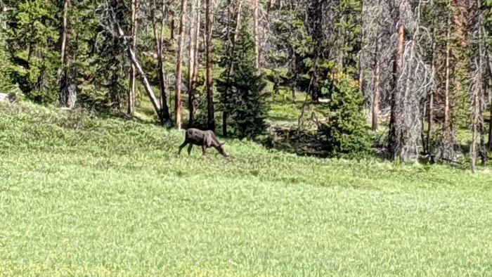 Meadow Creek Campground Picture 7