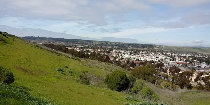 Mission View Manor Picture 4