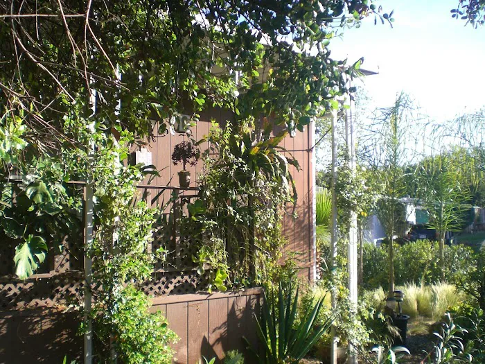 Pecan Community Picture 3