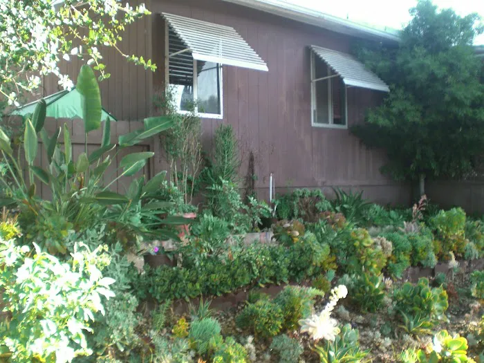 Pecan Community Picture 6