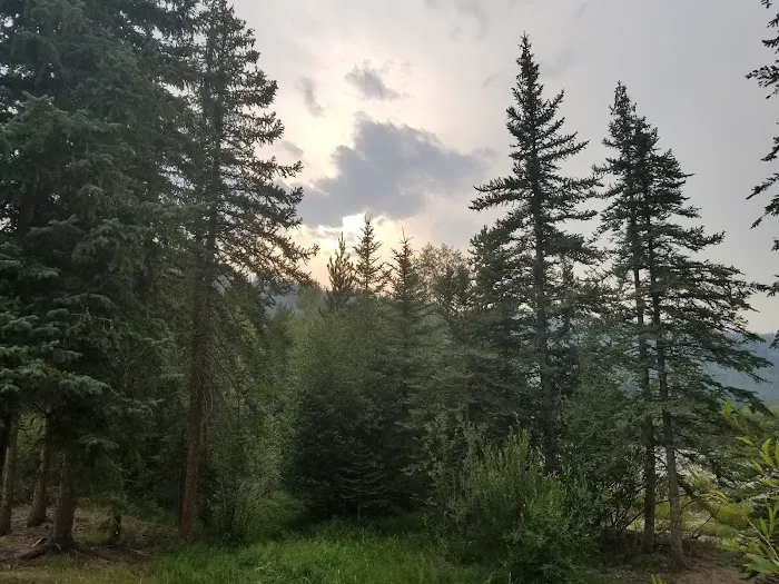 Blue River Campground Picture 7
