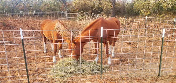 LaRock RV & Horse Camp Picture 3