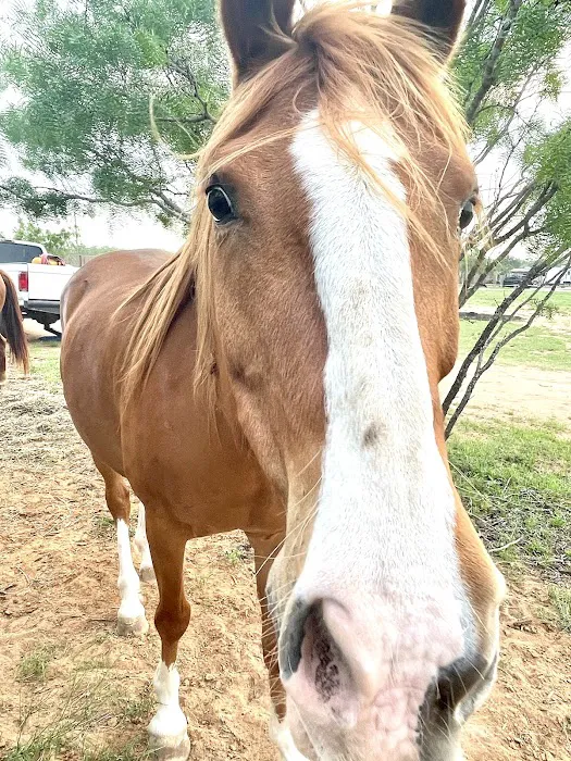 LaRock RV & Horse Camp Picture 7