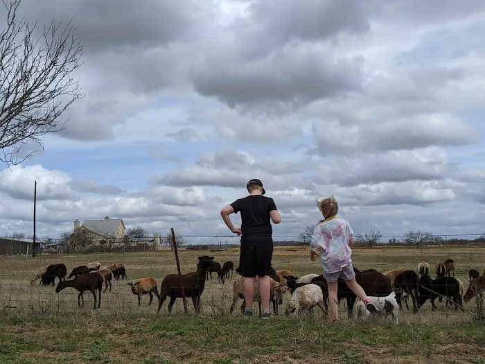 LaRock RV & Horse Camp Picture 6