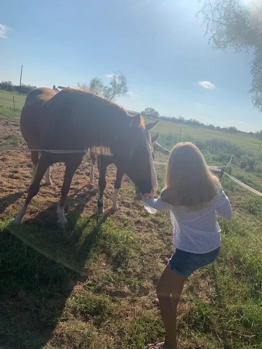 LaRock RV & Horse Camp Picture 9