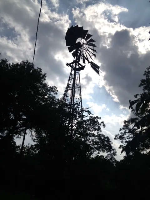 Pecan Grove Campground Picture 4