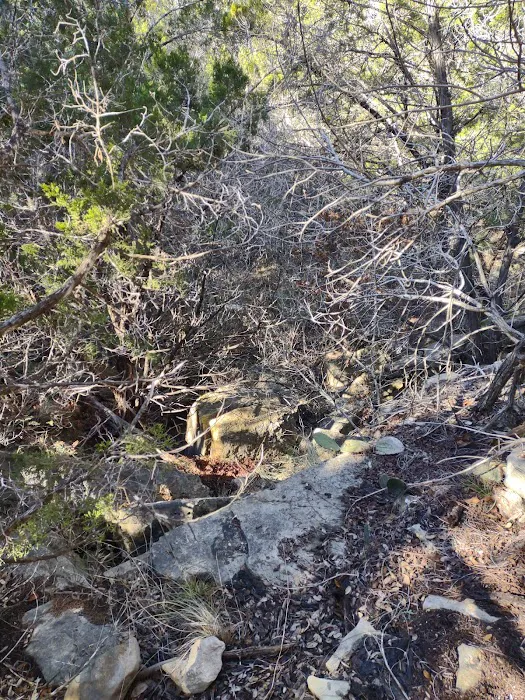 Pedernales Falls Horse Campground Picture 3