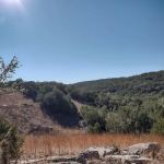Pedernales Falls Horse Campground