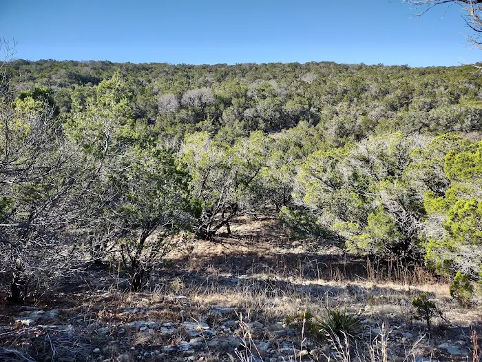 Pedernales Falls Horse Campground Picture 5