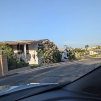 La Moree Estates ico