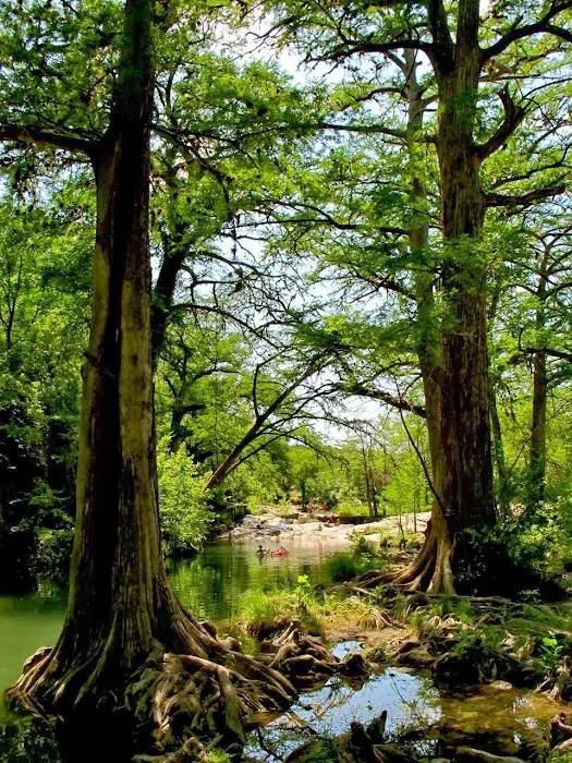 Krause Springs Picture 5