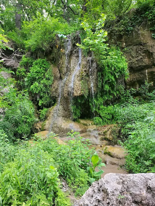 Krause Springs Picture 10