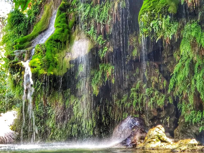 Krause Springs Picture 8