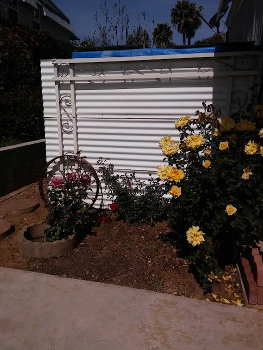 Rancho San Marcos Mobile Home Park Picture 5